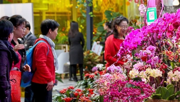 北京：年宵花展迎春节